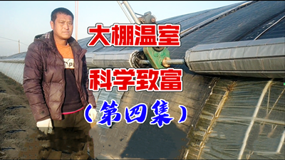 青島風全溫室配套有限公司